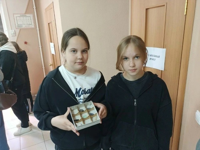 Увлекательный мир камня.